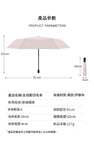 全自動6骨折疊超輕防UV遮陽傘